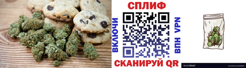 Купить  Шебекино  Canna-Cookies марихуана 