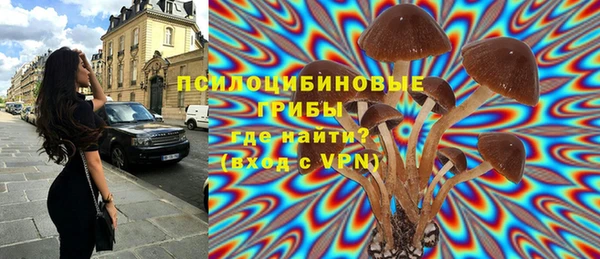 дживик Алексеевка
