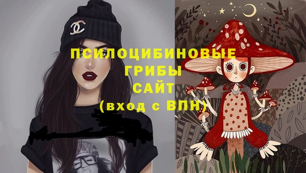 дмт Алексин