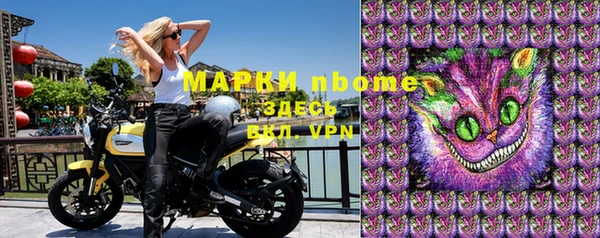 прущий лед Алзамай
